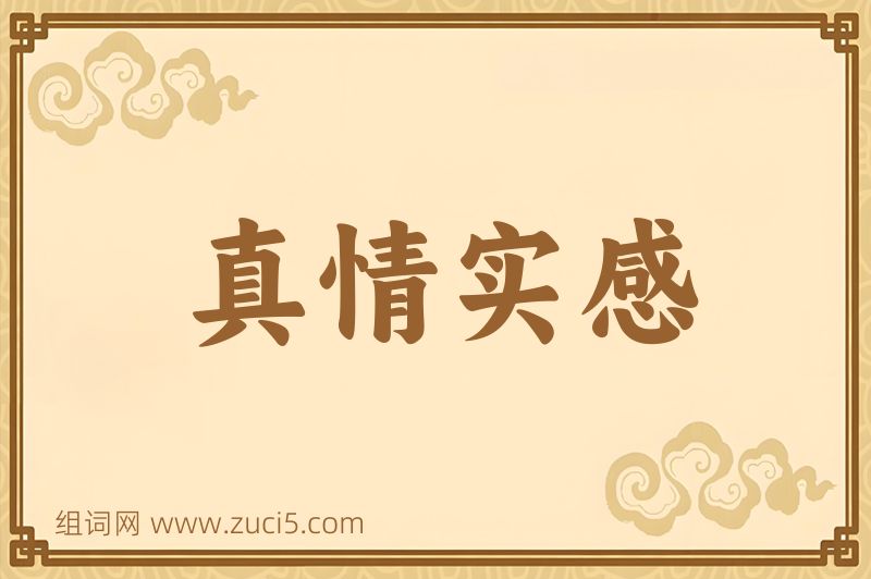 成语真情实感图片