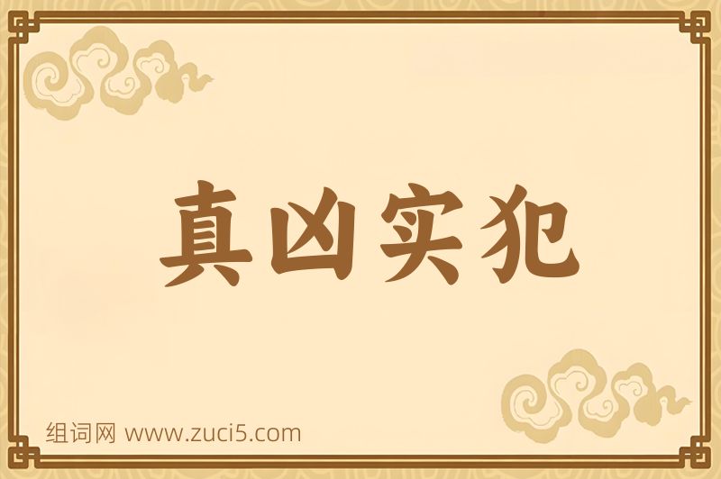 成语真凶实犯图片