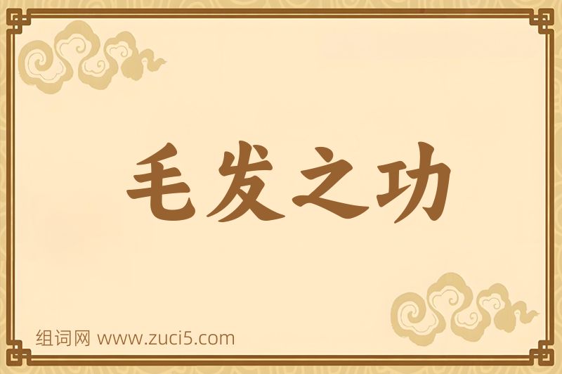 成语毛发之功图片