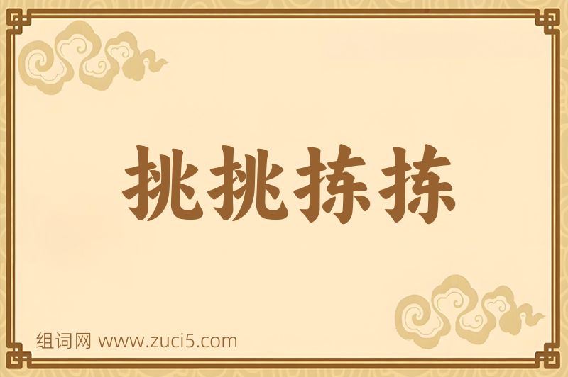 成语挑挑拣拣图片