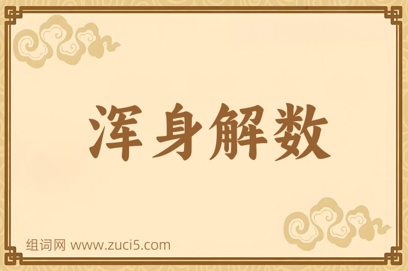成语浑身解数图片
