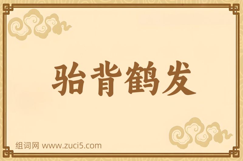 成语骀背鹤发图片