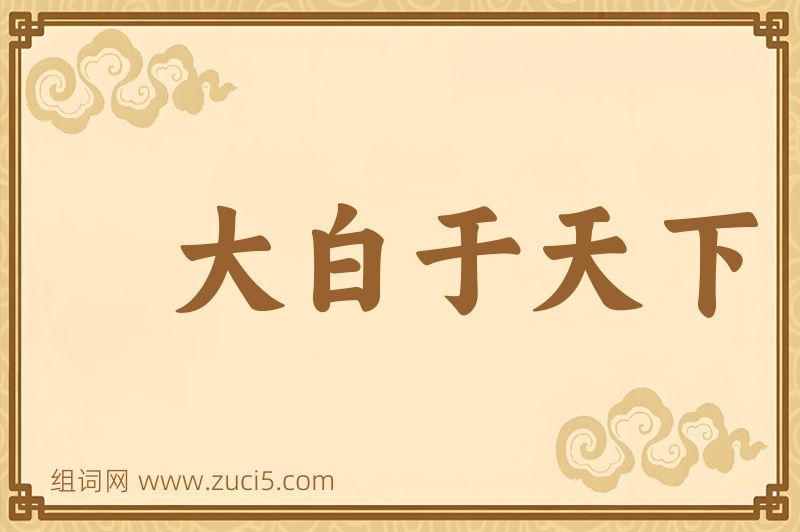 成语大白于天下图片