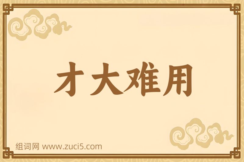 成语才大难用图片