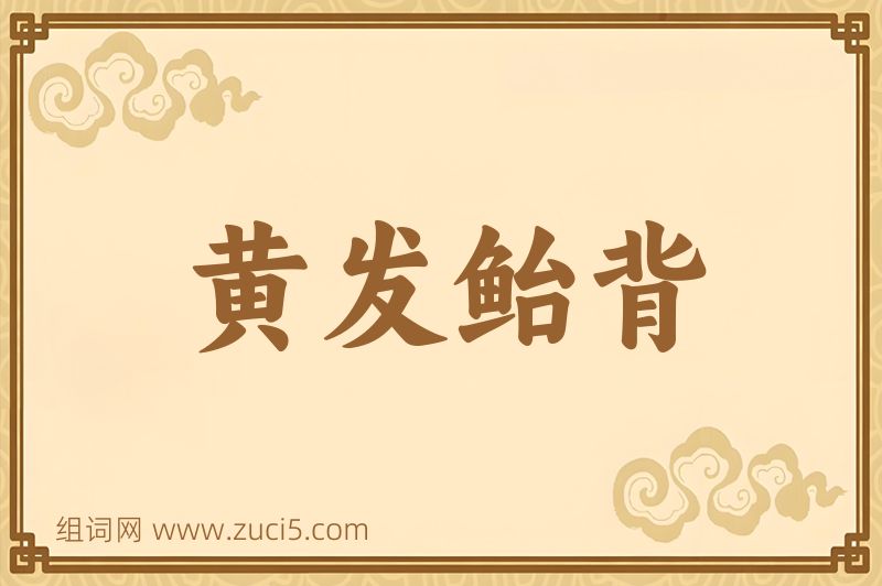 成语黄发鲐背图片