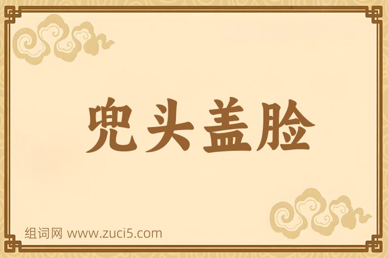 成语兜头盖脸图片