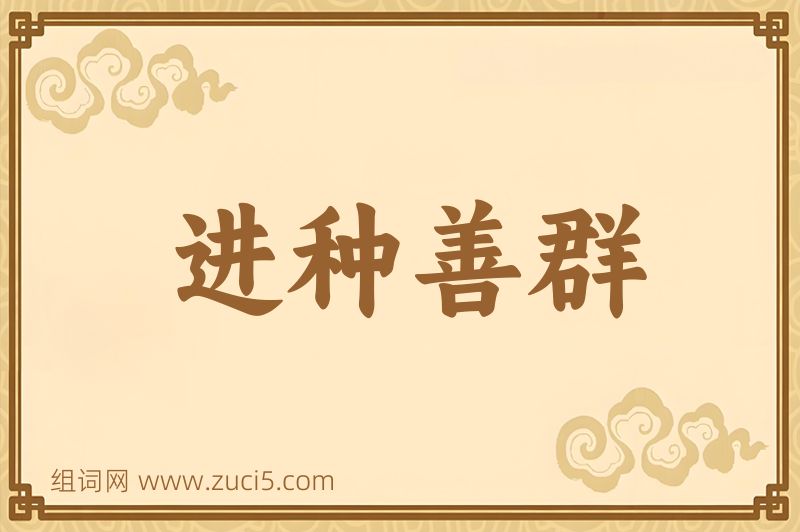 成语进种善群图片