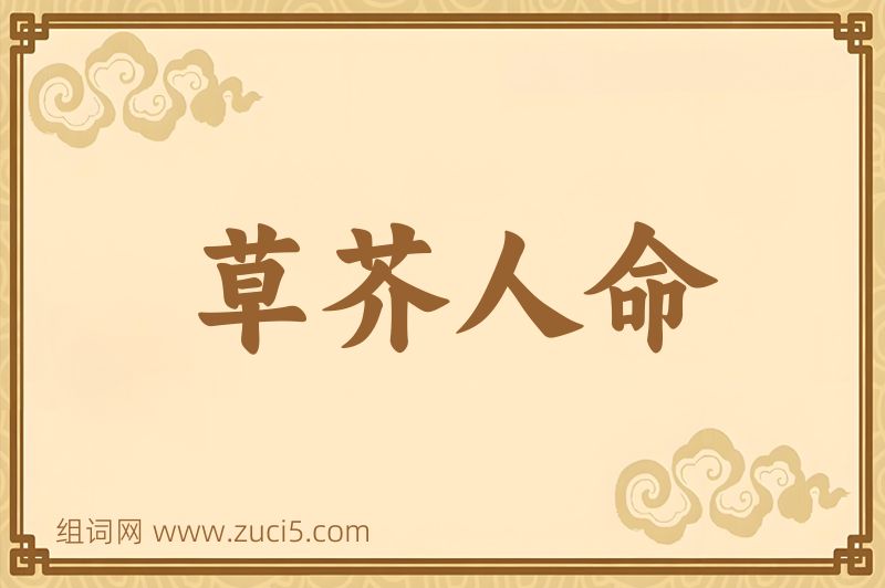 成语草芥人命图片
