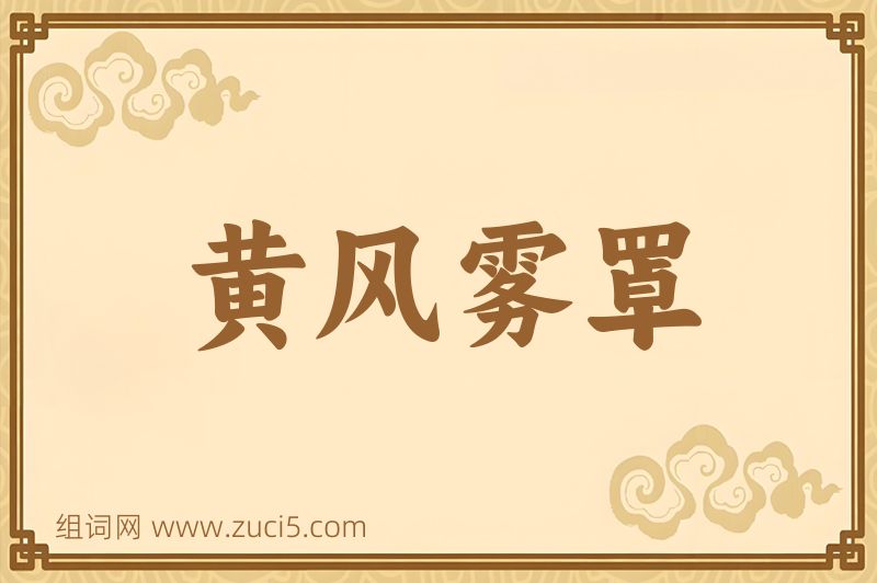 成语黄风雾罩图片