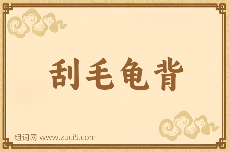 成语刮毛龟背图片