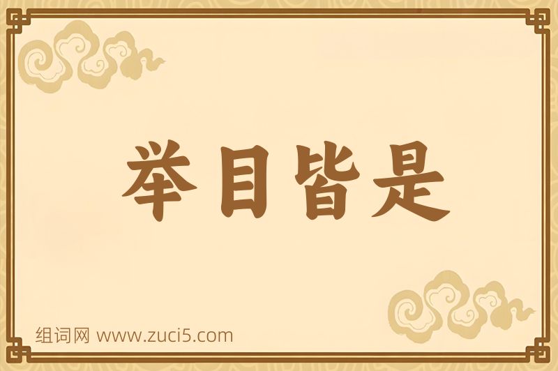 成语举目皆是图片