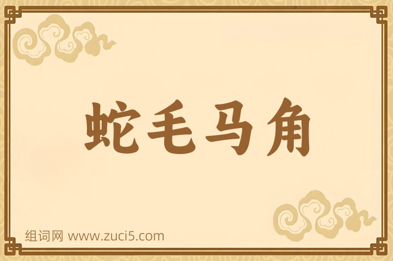 成语蛇毛马角图片