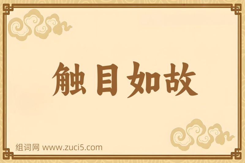 成语触目如故图片