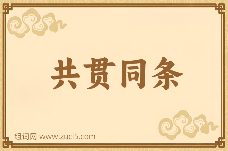 成语共贯同条图片
