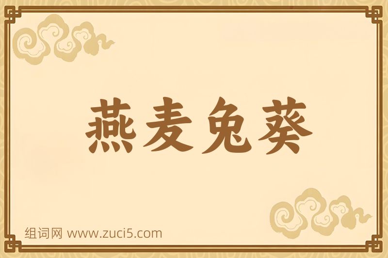 成语燕麦兔葵图片