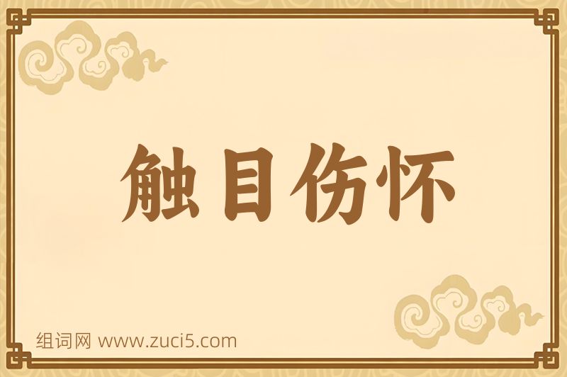 成语触目伤怀图片