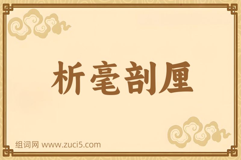 成语析毫剖厘图片