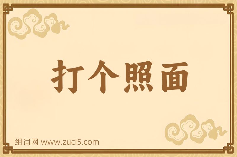 成语打个照面图片