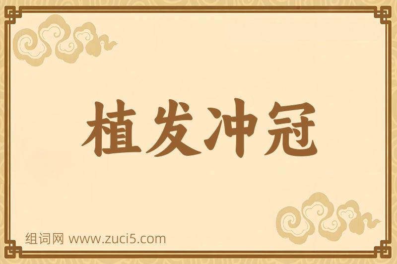 成语植发冲冠图片
