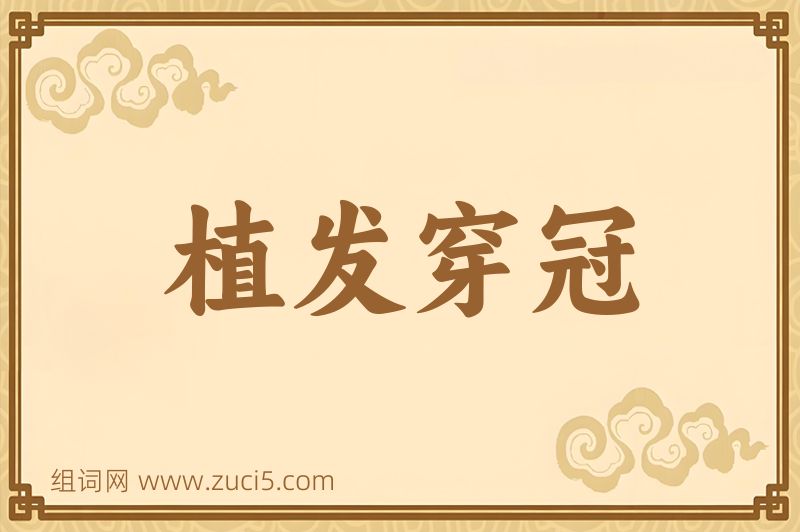 成语植发穿冠图片