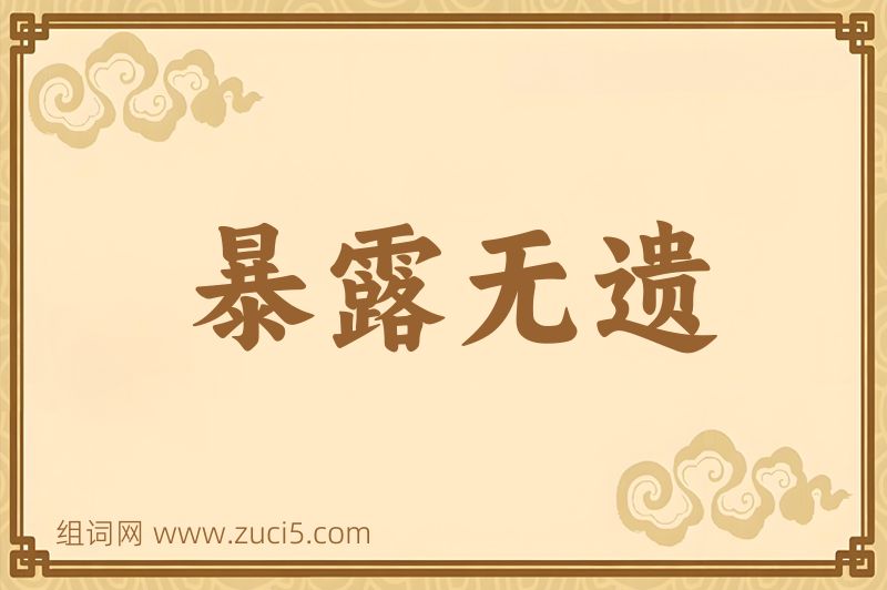 成语暴露无遗图片