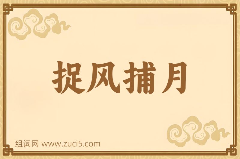 成语捉风捕月图片
