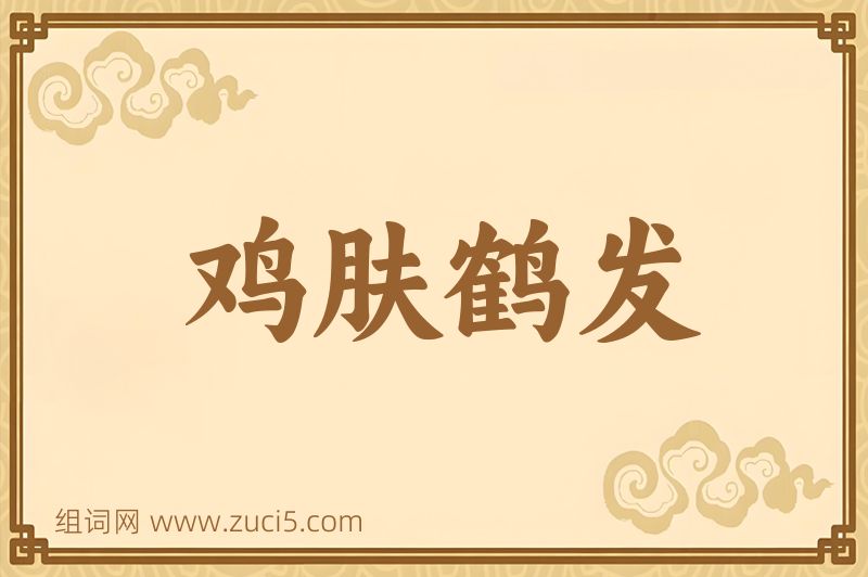 成语鸡肤鹤发图片