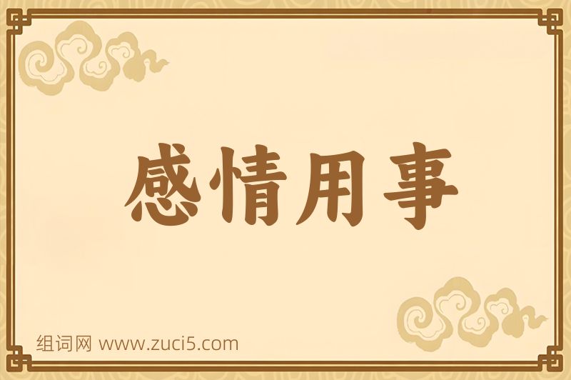 成语感情用事图片
