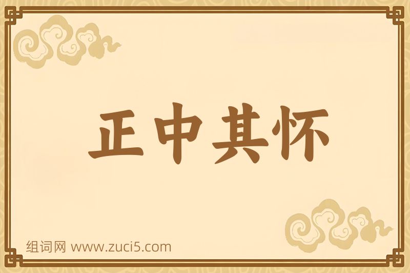 成语正中其怀图片