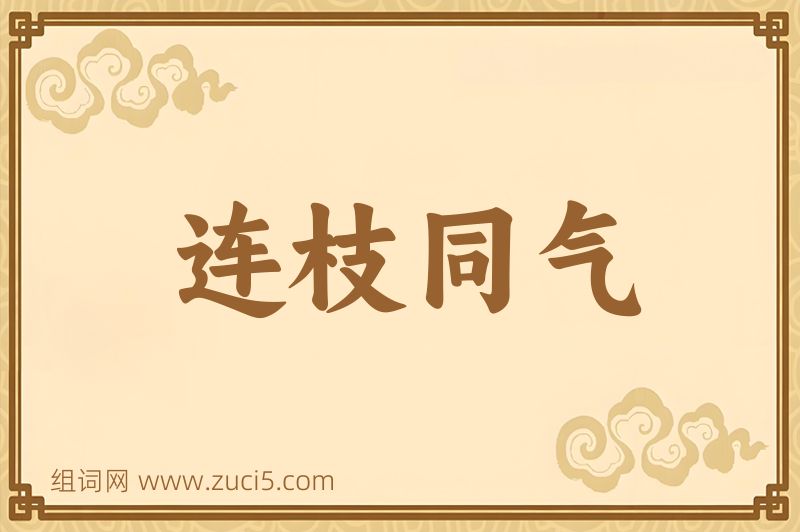 成语连枝同气图片