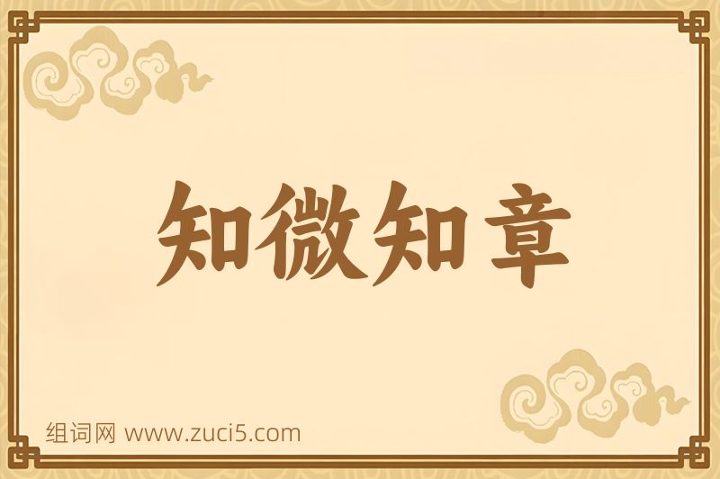 成语知微知章图片