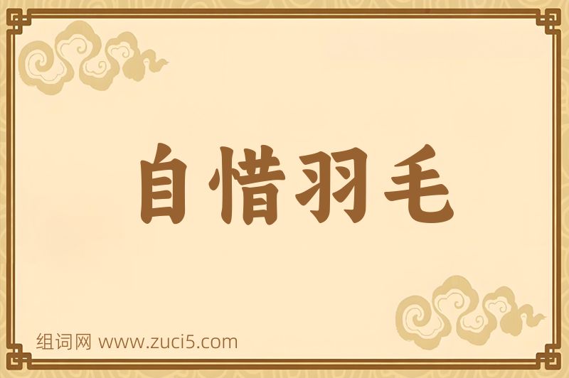 成语自惜羽毛图片
