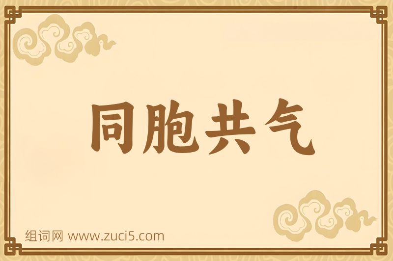 成语同胞共气图片