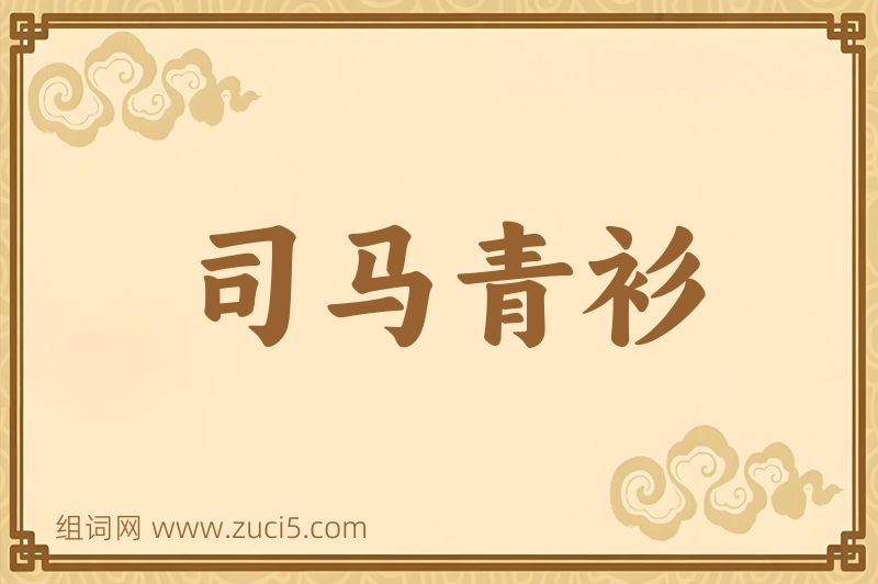 成语司马青衫图片