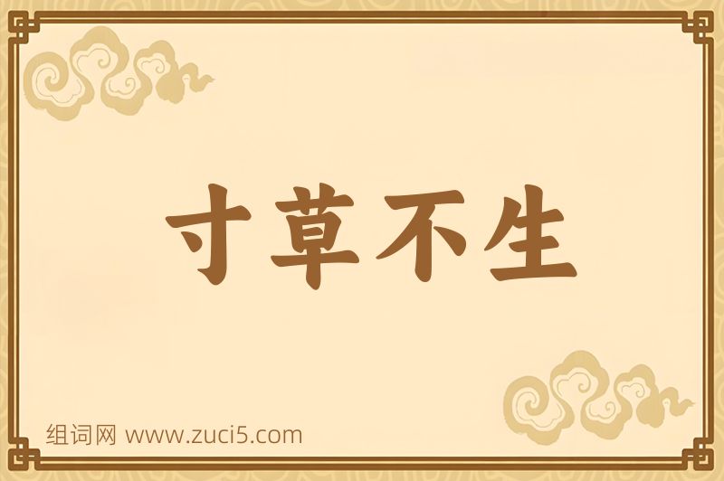 成语寸草不生图片