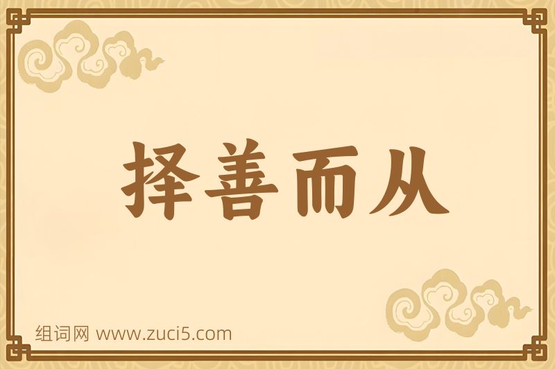 成语择善而从图片