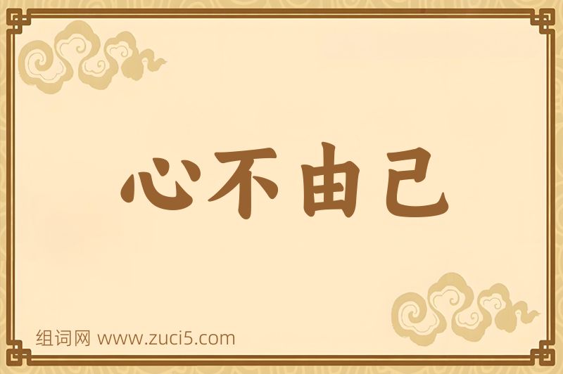 成语心不由己图片