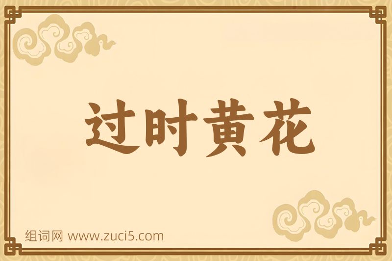 成语过时黄花图片