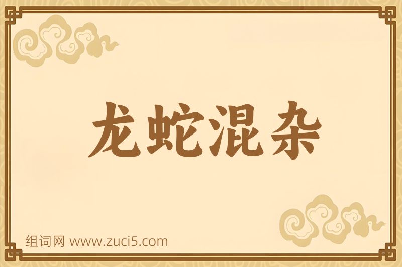 成语龙蛇混杂图片
